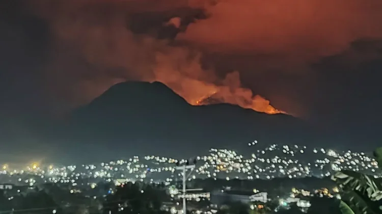 Kebakaran Vegetasi Terjadi di Lereng Gunung Iya Ende