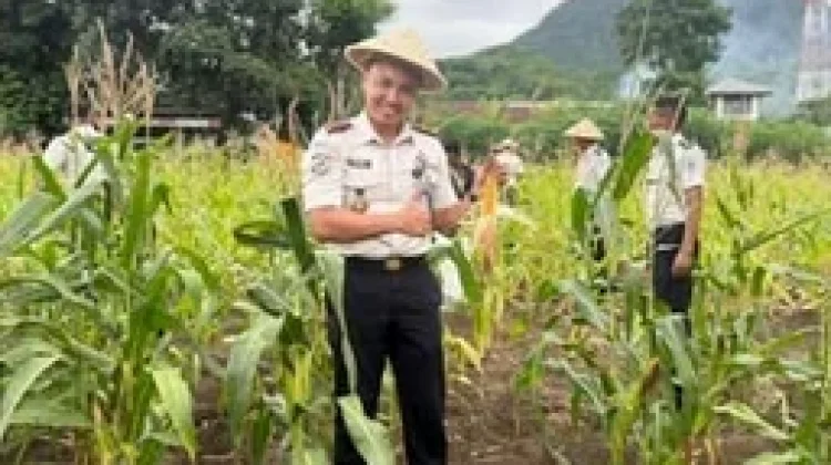 Warga Binaan Lapas Ende Panen Hasil Kebun