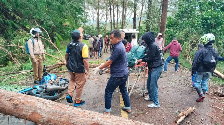 Penyuluh KB Manggarai Jadi Korban Pohon Tumbang di Jalur Borong–Ruteng