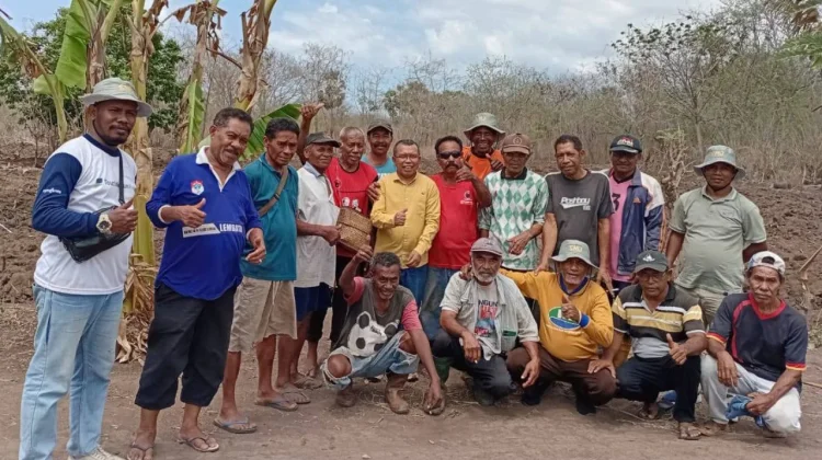 PT SMJ Dorong Lahirnya Wirausaha Pertanian di Kabupaten Lembata