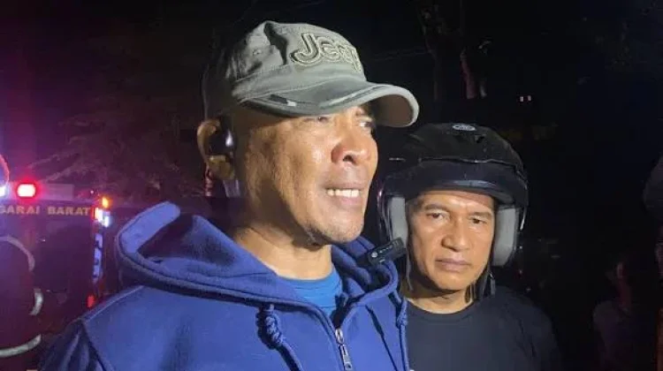 Waspada Teror Tawon Vespa, Satpol PP Mabar Imbau Warga Tidak Evakuasi Mandiri