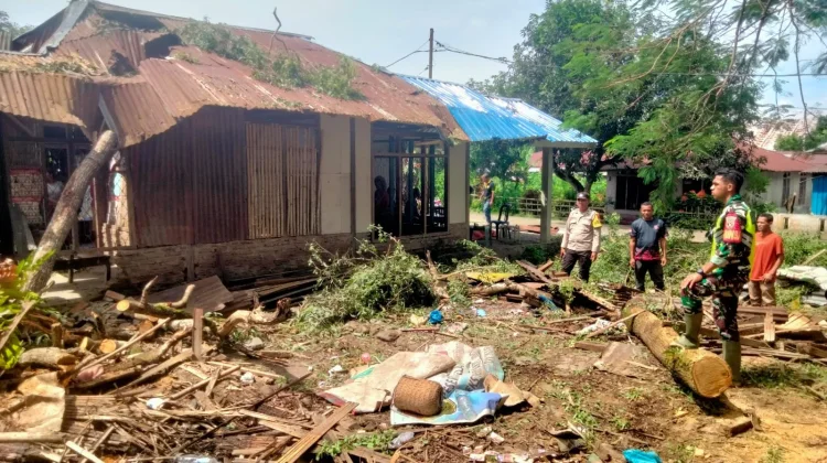 Pohon Tumbang Timpa Dua Rumah Warga di Ende