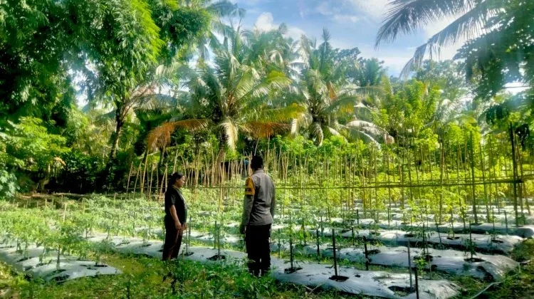 Bhabinkamtibmas Sikka Intensif Dampingi Warga Kelola Pekarangan