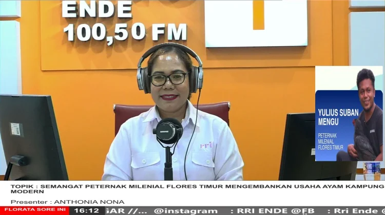 Peternak Milenial Kembangkan Ayam Kampung Modern Flores