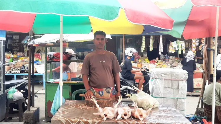Di Balik Ramainya Pasar  Mbongawani, Kisah Pedagang Ayam Menyambut Lebaran