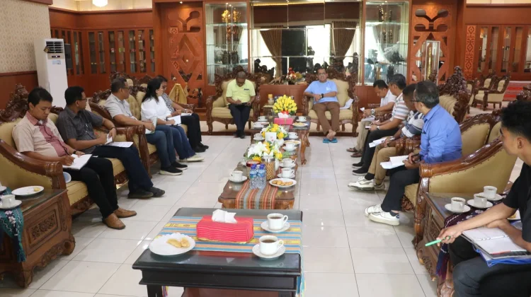 Audiensi Gubernur dan ESDM NTT Bahas Strategi Kemandirian Energi dan Investasi