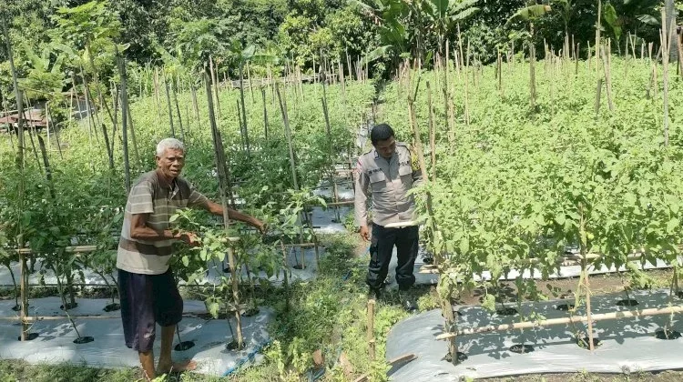 Bhabinkamtibmas Sikka Dampingi Warga Kembangkan Pekarangan Bergizi