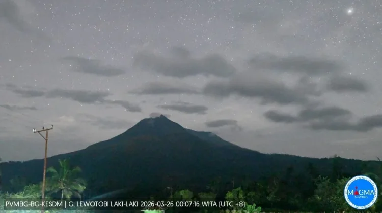 Aktivitas Lewotobi Laki-laki Stabil, Tremor Masih Dominan hingga Maret