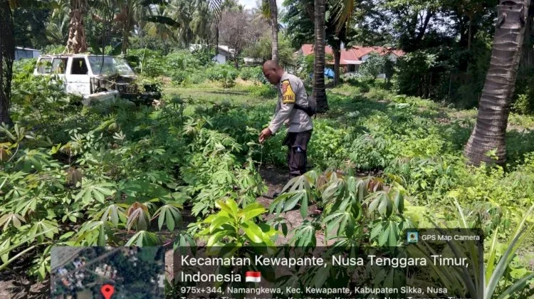 Bhabinkamtibmas Kewapante Dorong Ketahanan Pangan Berbasis Pekarangan