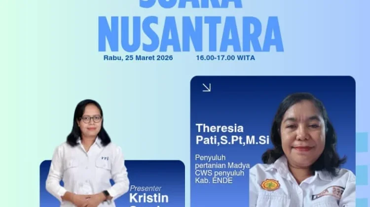 Penyuluhan Pertanian Madya CWS  Ende Hadapi Berbagai Tantangan