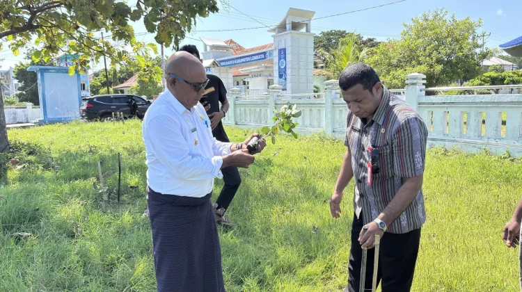 Penghijauan Lembata Capai 20 Ribu Pohon
