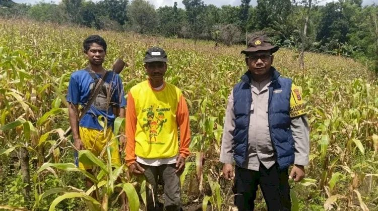 Polisi Sikka Aktif Dukung Ketahanan Pangan Desa
