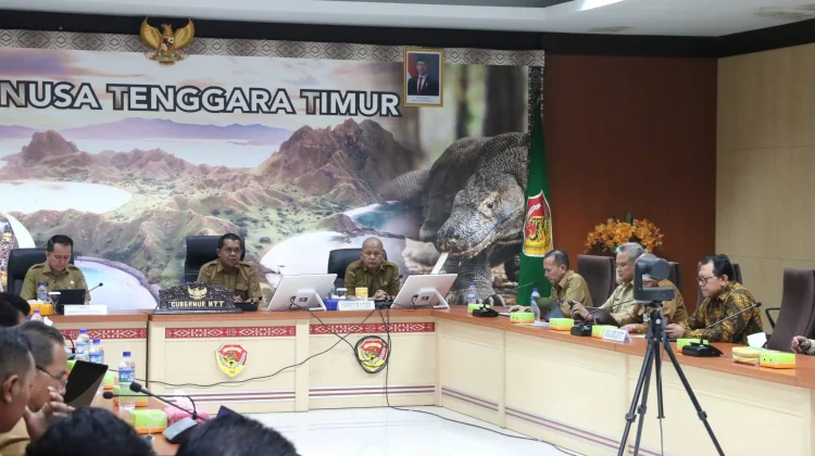Gubernur NTT Terima Audiensi Kemendagri Bahas Belanja Pegawai Daerah