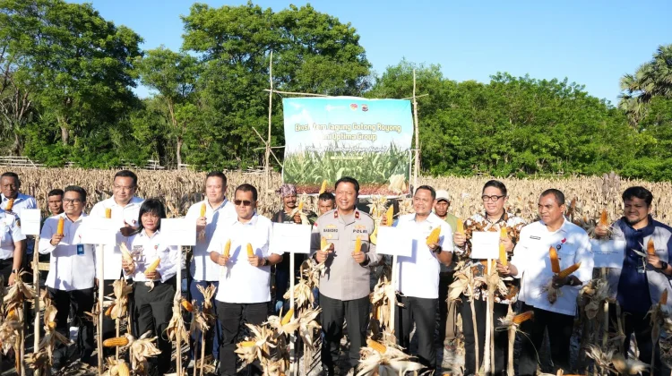 Gubernur NTT Dorong Hilirisasi dan Kolaborasi Tingkatkan Produksi Jagung