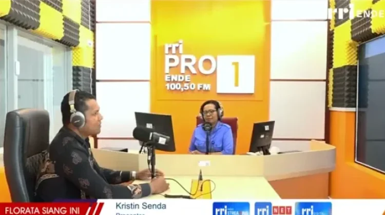 Modernisasi Ubah Pola Perkawinan Adat Ngada Secara Dinamis