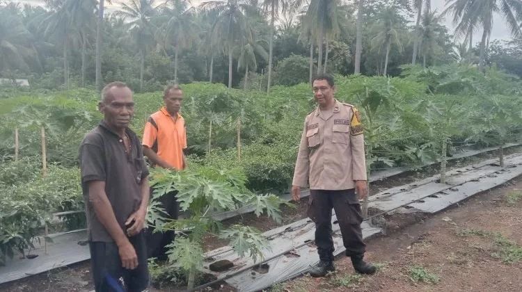 Polres Sikka Dorong Ketahanan Pangan Berbasis Pekarangan