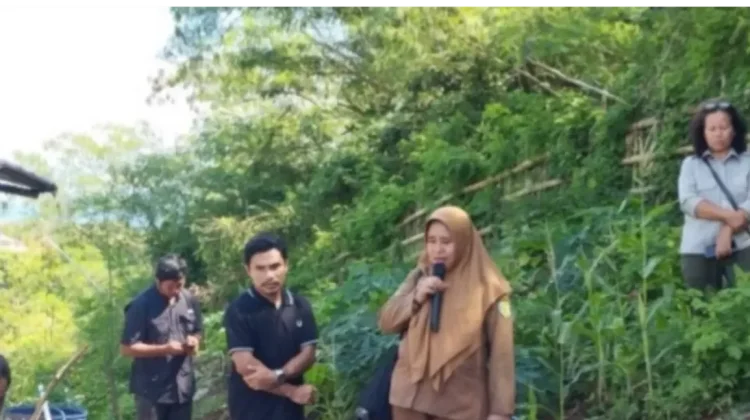 BUMDes Raes Cama Luncurkan Program Penanaman Sayur, Dorong Kemandirian Pangan
