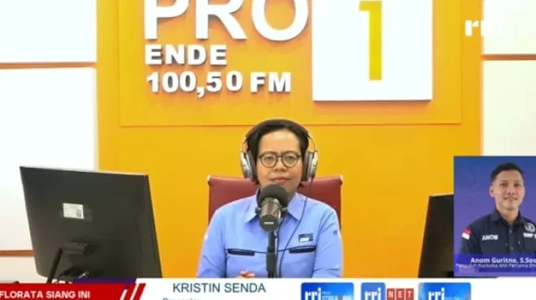 Rehabilitasi Sukarela Lindungi Pengguna Narkoba Dari Sanksi