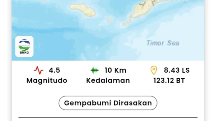 Gempa M4,7 Guncang Flores Timur, Terasa hingga Lembata