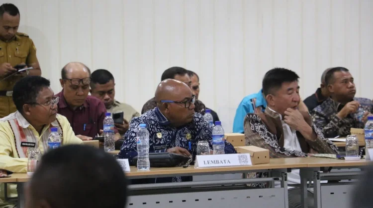 Bupati Lembata Usulkan Relaksasi Kebijakan Fiskal
