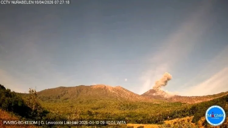 Erupsi Lewotobi Laki-laki, Kolom Abu 500 Meter Mengarah ke Timur Laut