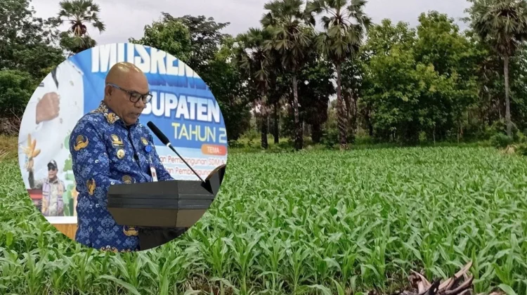 Camat Diminta Aktif Sosialisasikan Program Jagung