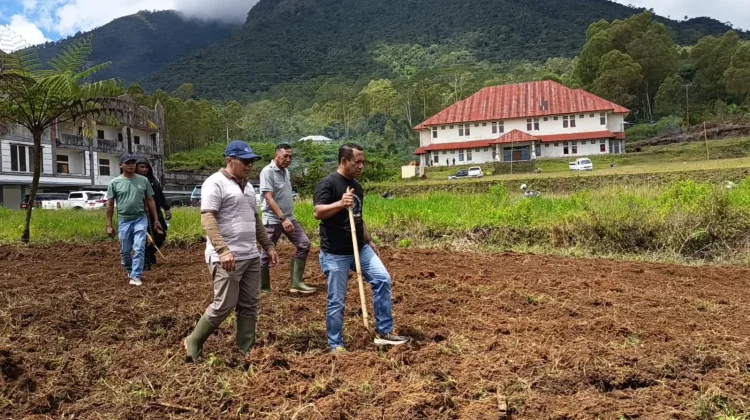 Pemkab Manggarai Sulap Lahan Sekitar Stadion Jadi Sentra Pertanian