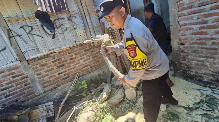 Respons Cepat Polisi dan BPBD Tangani Pohon Tumbang