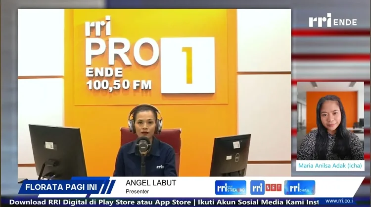 Inovasi Desain Kemasan Jadi Kunci Daya Saing Produk Lokal