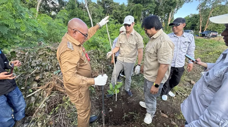 Pemkab Lembata Kembangkan Benih Unggul Jambu Mete