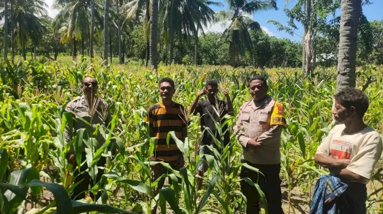 Polri Dampingi Petani Jagung Perkuat Ketahanan Pangan