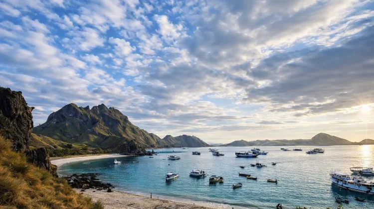 Pembatasan Kunjungan TN Komodo Berbasis Daya Dukung Lindungi Ekosistem