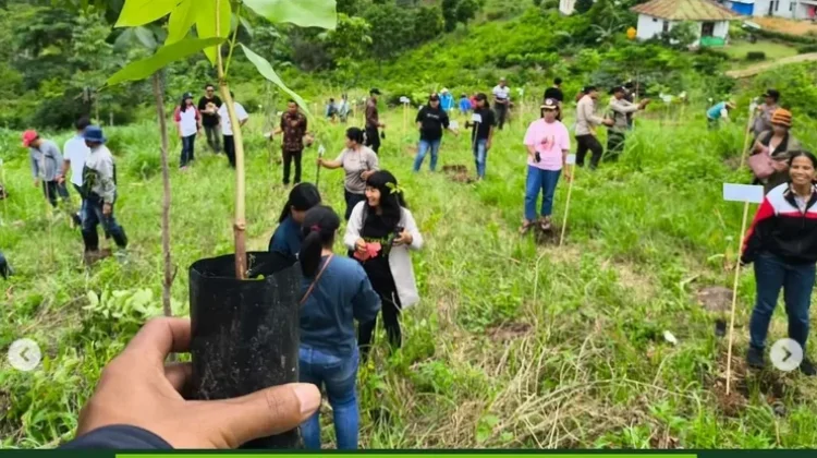 Gerakan Sunyi dari Manggarai, saat Anak Muda Merawat Bumi dengan Cara Mereka