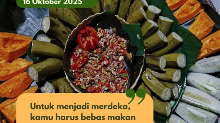 Momang Lino Hidupkan Kembali Pangan Lokal di Manggarai