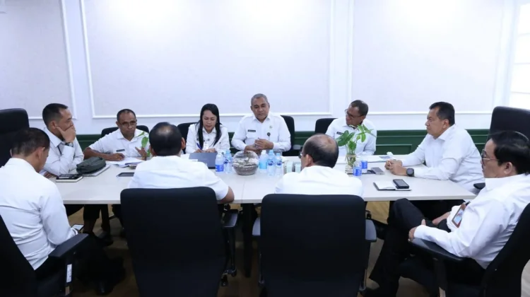 Wagub NTT Bahas Penataan ASN Bersama Kementerian PANRB di Jakarta