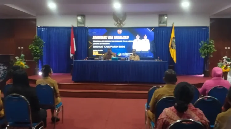 Pemkab Ende Dorong GENTING Cegah Stunting Secara Kolaboratif