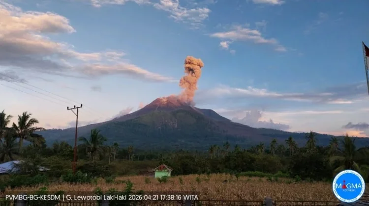 Erupsi Lewotobi Laki-laki, Kolom Abu Capai 1.000 Meter ke Arah Barat