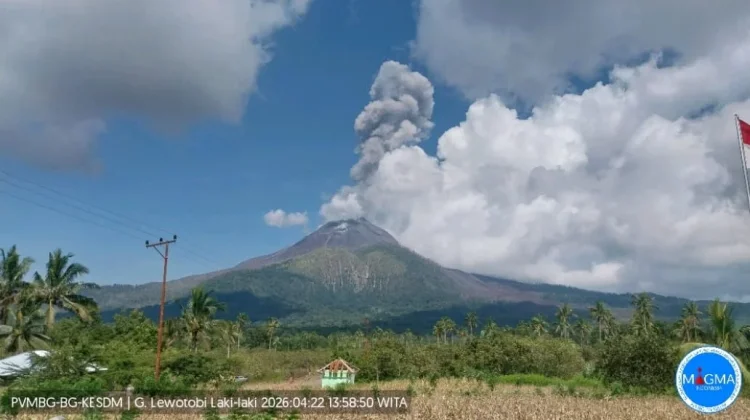 Erupsi Lewotobi Laki-laki Semburkan Abu 1,2 Km, Warga Diminta Jauhi Radius 4 Km