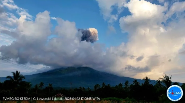 Aktivitas Lewotobi Laki-laki Meningkat, Kolom Abu Capai 1,6 Km