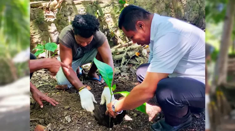 Penanaman Pohon Warnai Peringatan Hari Bumi Sikka