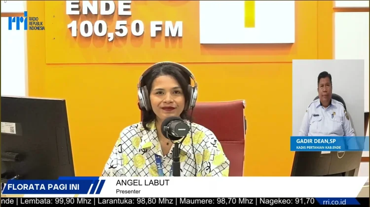 Panen Perdana Padi Organik Digelar di Ende Hari Ini
