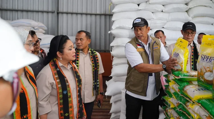 Dirut BULOG Pastikan Stok Beras Nasional Aman saat Kunker Komisi IV DPR RI