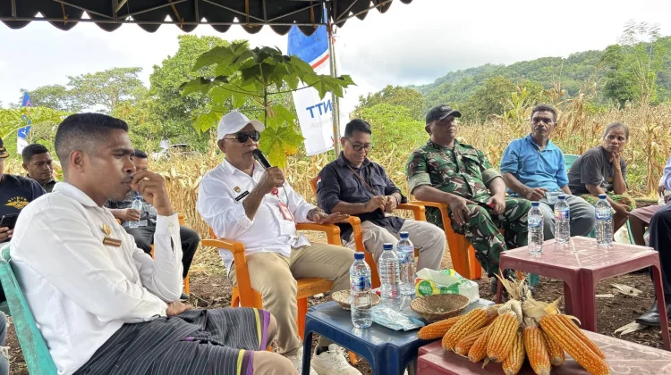 Bupati Lembata Soroti Rendahnya Produktivitas Jagung Petani