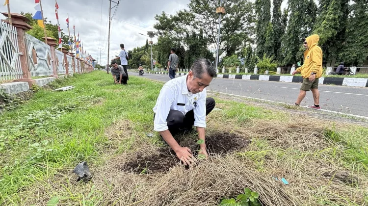Pemkab Lembata Tanam Pohon, Target Pulau Karbon