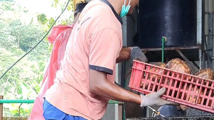 Komitmen Inklusi, PT Agro Porang Nusantara Rangkul Tenaga Kerja Disabilitas