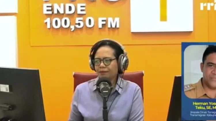Transformasi Digital Tantangan Tenaga Kerja Kabupaten Ende