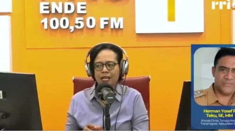 Perlambatan Ekonomi Tekan Tenaga Kerja Kabupaten Ende