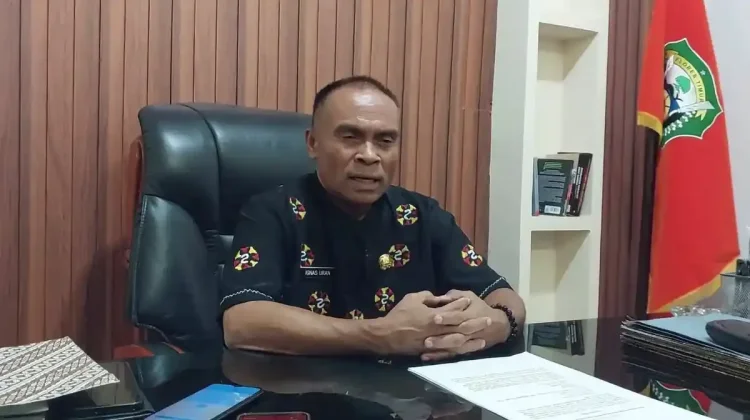 Wabup Fotim Cek Kesiapan Lahan dan Pakan Program Big Push 700 Sapi