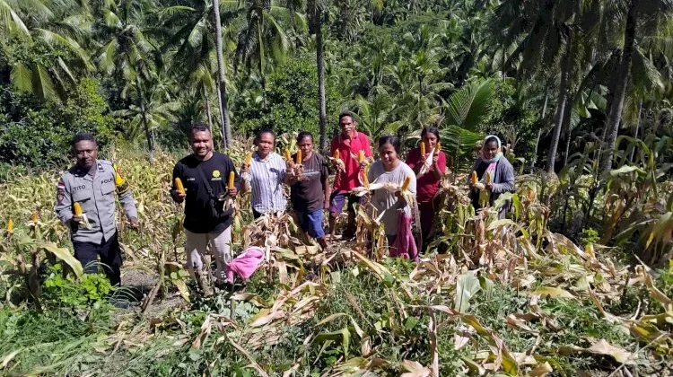 Panen Jagung Pertiwi, Baopaat Teguhkan Kemandirian Desa
