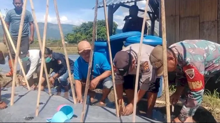 Bhabinkamtibmas Sikka Dampingi Penanaman Tomat di Desa